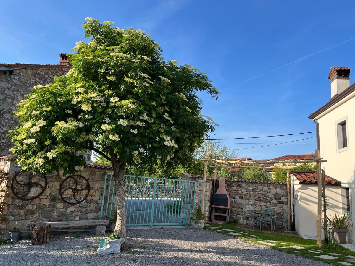 Apartma Ob Stari Murvi, Sezana Exterior photo